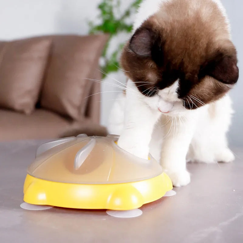 Yellow durable plastic cat snack bowl with divided compartments for foraging and slow feeding.