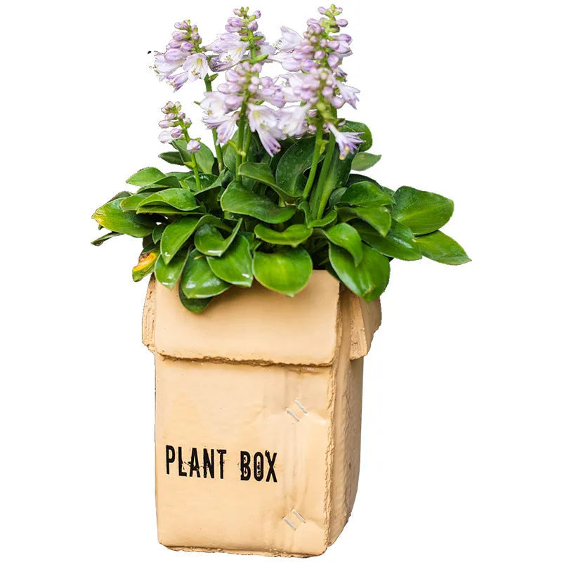 Cement brown paper box flowerpot with drainage holes for indoor planting