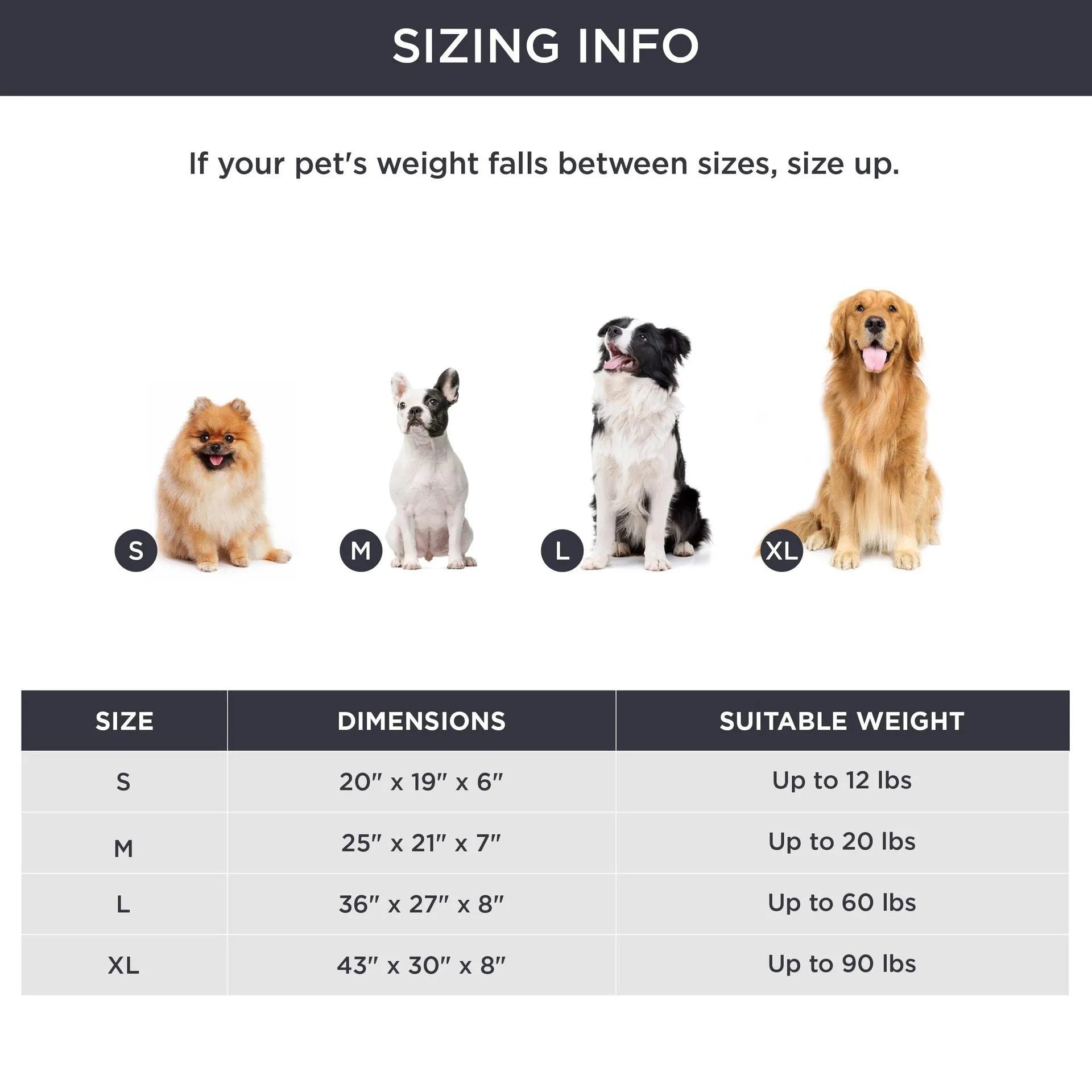 Beige raised-side pet bed for a medium-sized dog, showing padded base and supportive sides.