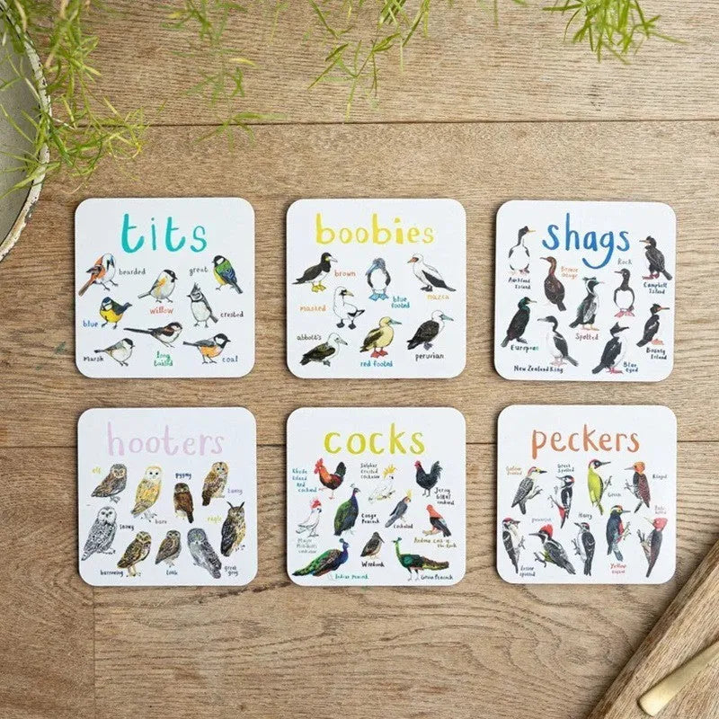 Set of six square PVC bird pun coasters with different bird chart designs on a table