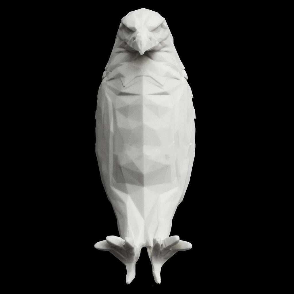 Eagle-shaped 3D projector wall lamp with resin plastic construction showing light projection effects