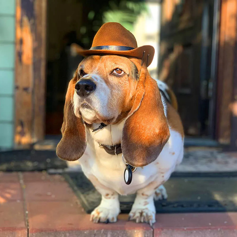 Adjustable cowboy hat for a dog or cat on a plain background, showing the rounded brim.