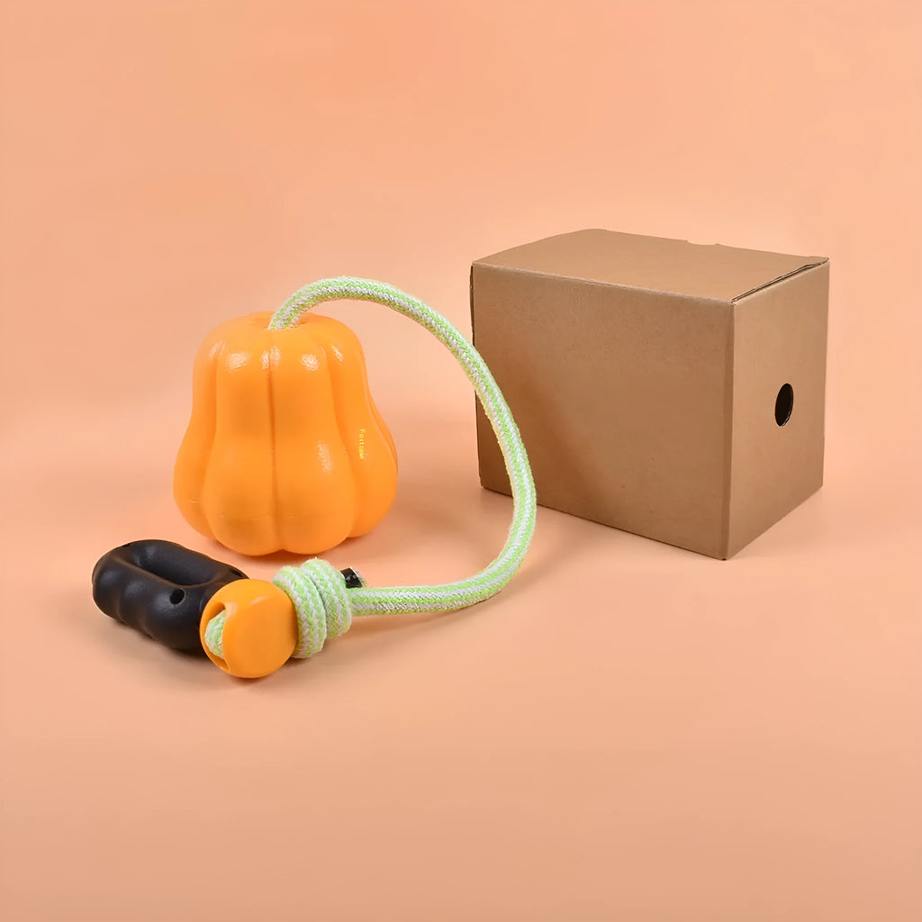 Orange pumpkin-shaped plastic dog chew toy with a blue rope attached for throwing and tugging.