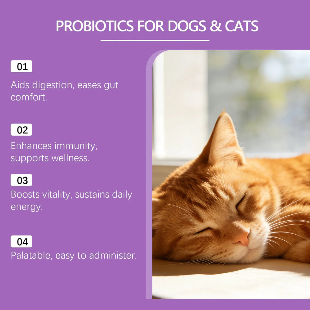 200g probiotic powder for pet intestinal care containing Bacillus subtilis, fructooligosaccharides, glucose and chicken powder