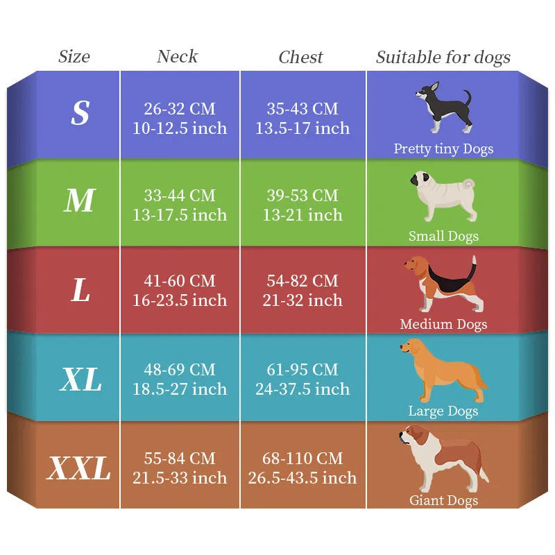 Luminous dog lead with USB charging cable showing seven-colour transformation on nylon strap