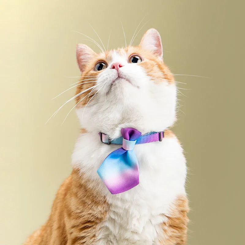 Adjustable dog collar with necktie and bow tie, 18-30cm neck, polyester and POM, multiple colours.