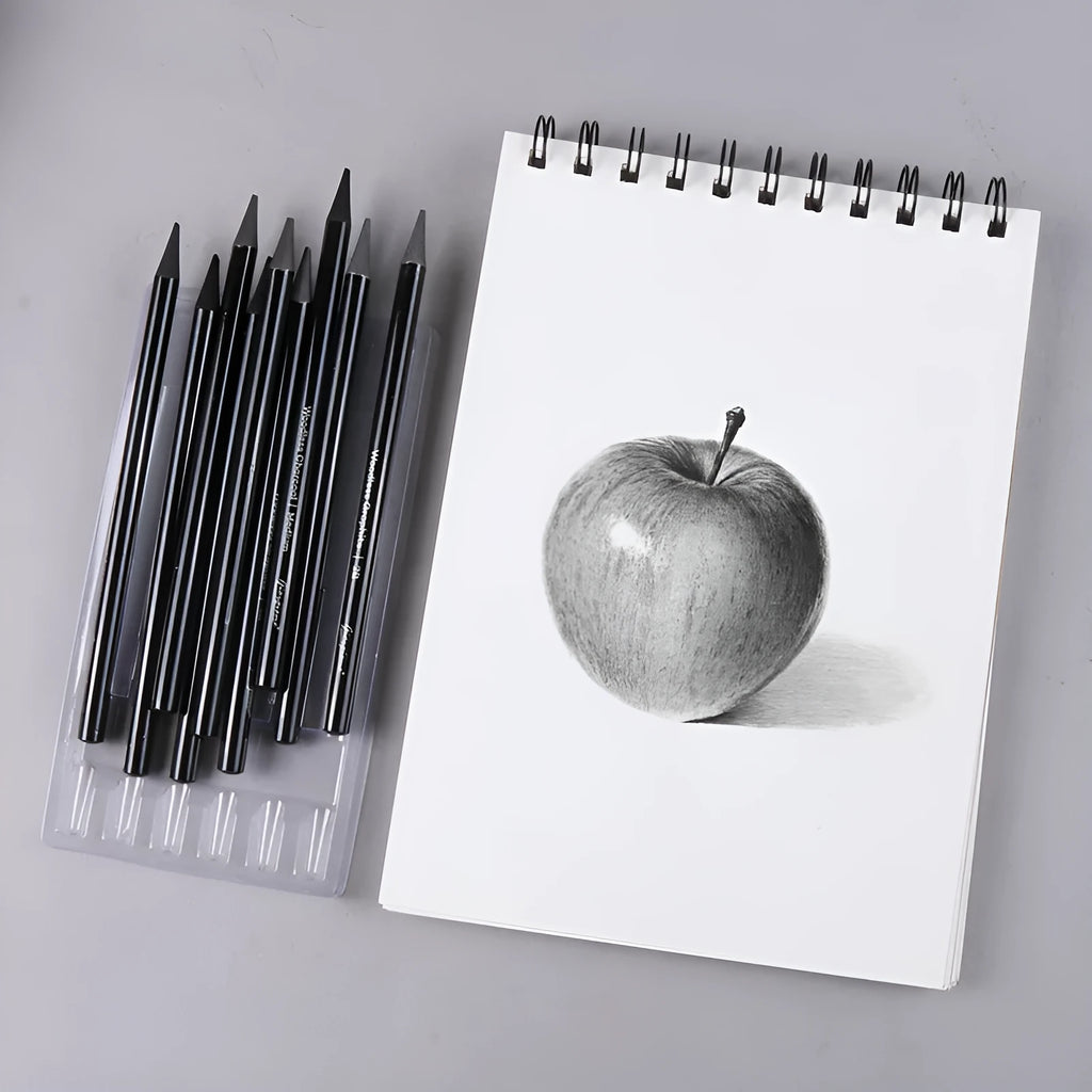 Set of graphite and carbonized wooden pencils on a suction card packaging.