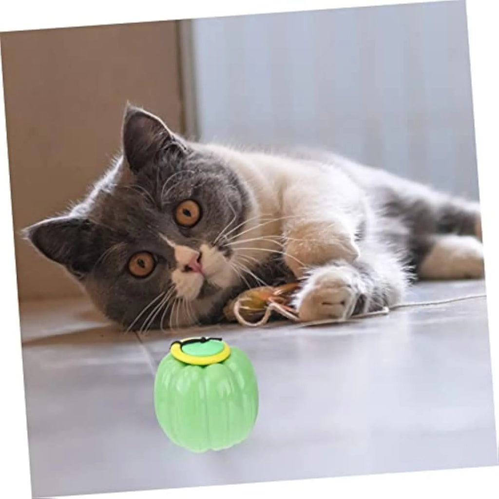 Green, orange, and yellow plastic pumpkin-shaped dog chew toy with squeaker.