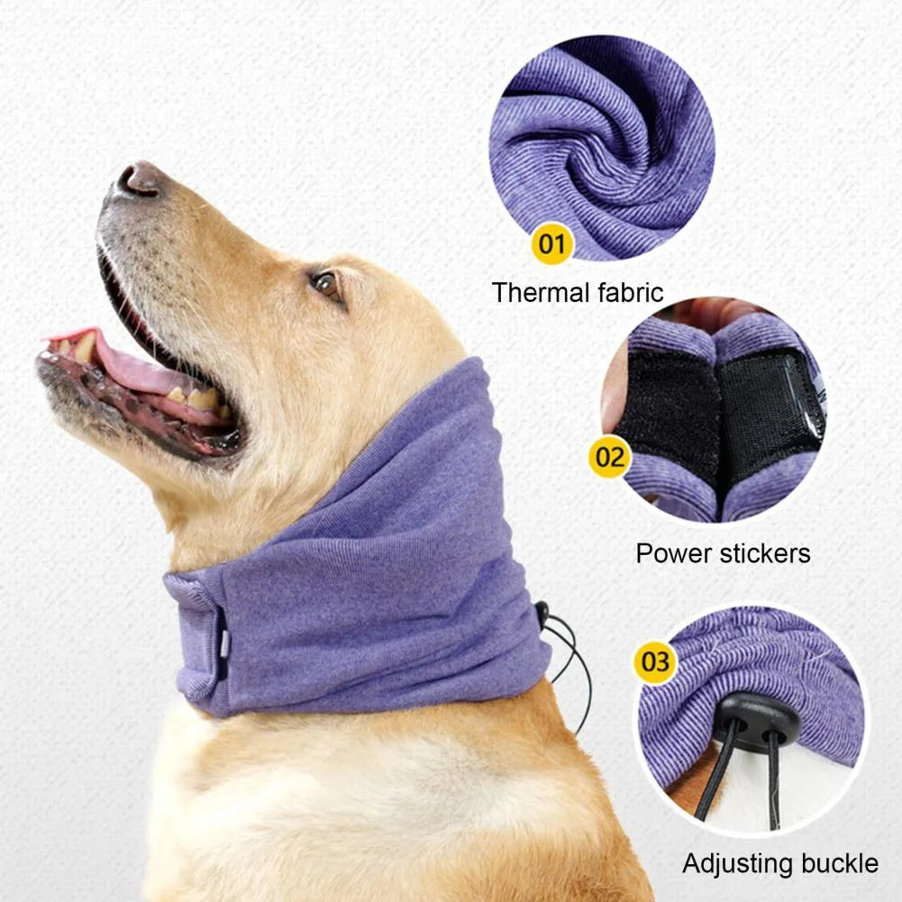Dog wearing purple noise reduction hoodie with ear wraps and head cover