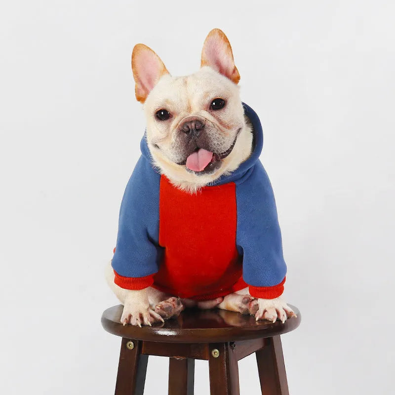 Red cotton dog coat for small and medium sized breeds like Teddy and Bichon on a mannequin