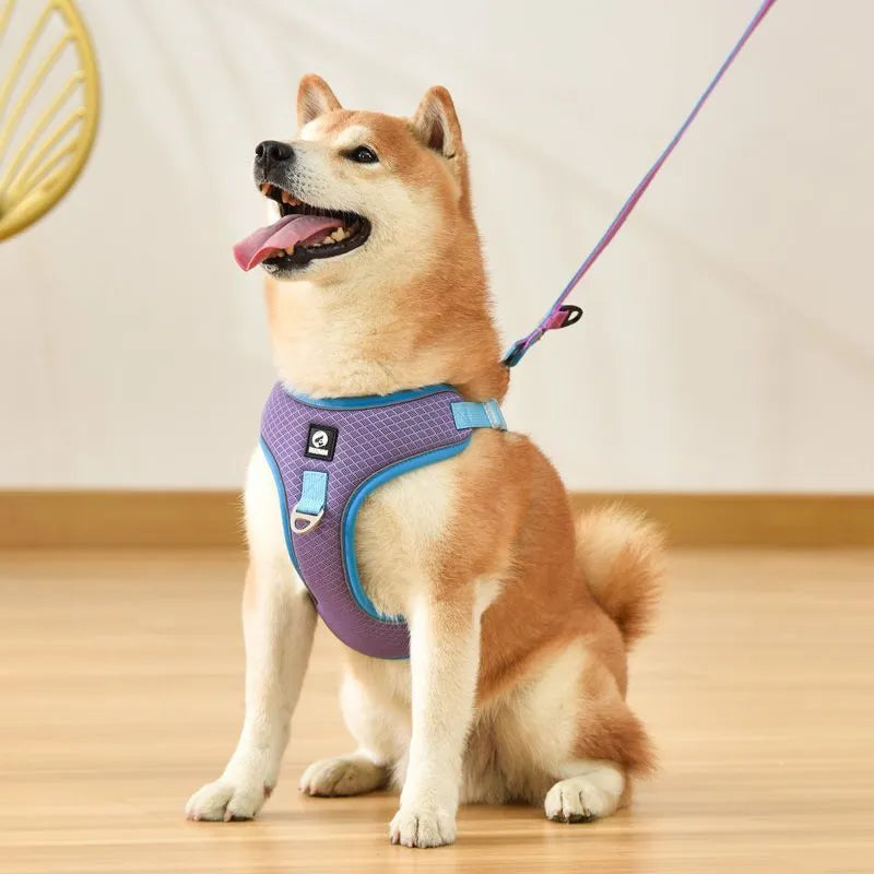 Adjustable dog harness with reflective strips in black, red, gray, or light purple colours