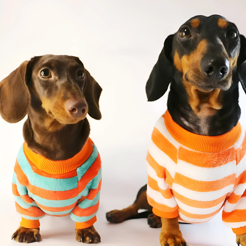 Striped casual pet sweatshirt with round neck in orange red and white colours