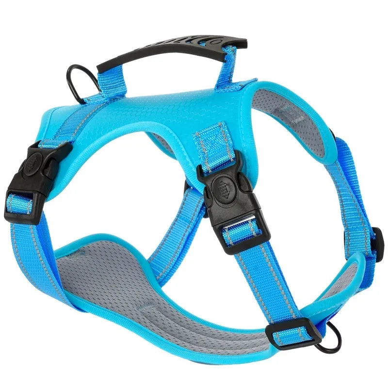 Adjustable polyester dog harness and lead in multiple colours on a size chart.