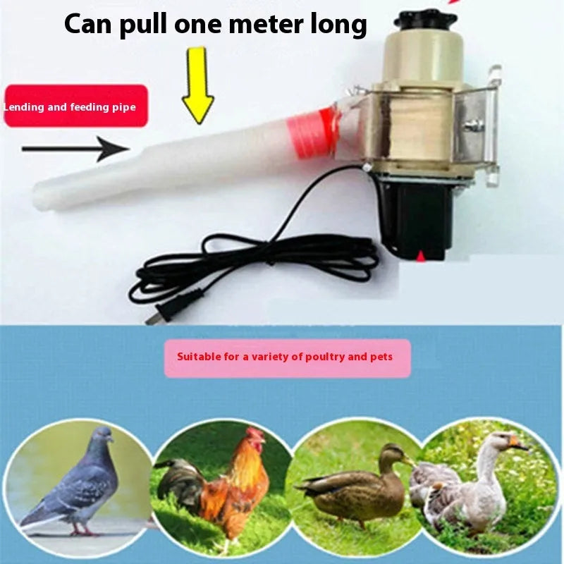 Solar-powered automatic animal feeding machine with watertight caisson for chickens, ducks, and aquariums.