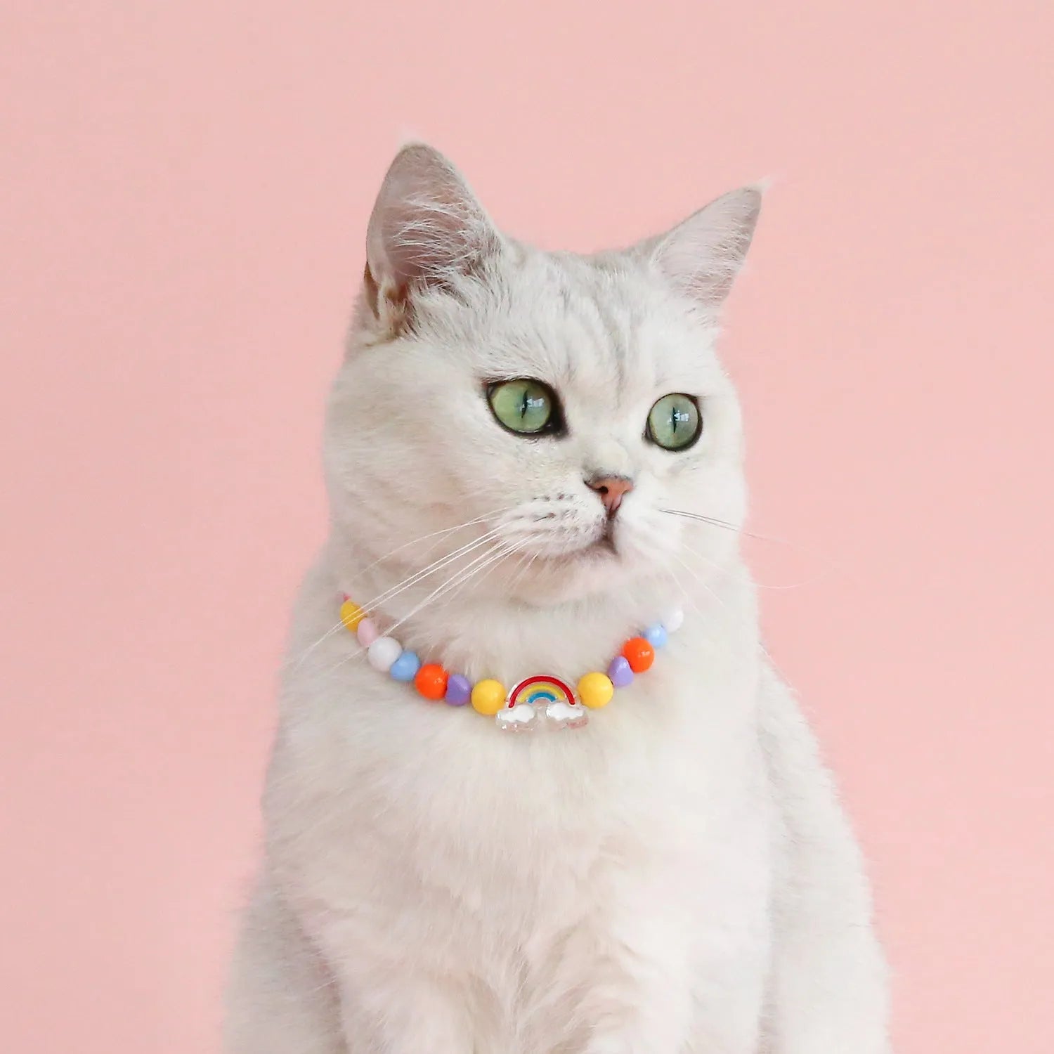 Colourful plastic bead cat necklace showing small flower, rainbow, and peach pattern options with adjustable sizing