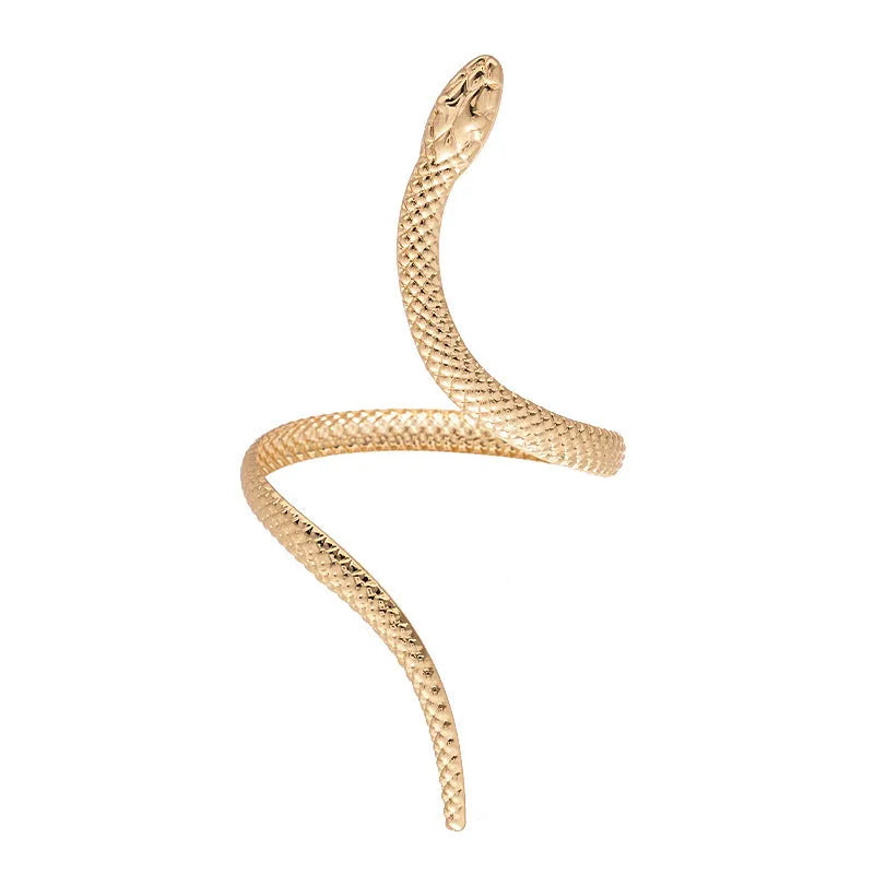 Gold snake design bracelet and ring set with exaggerated twisted winding metal jewellery