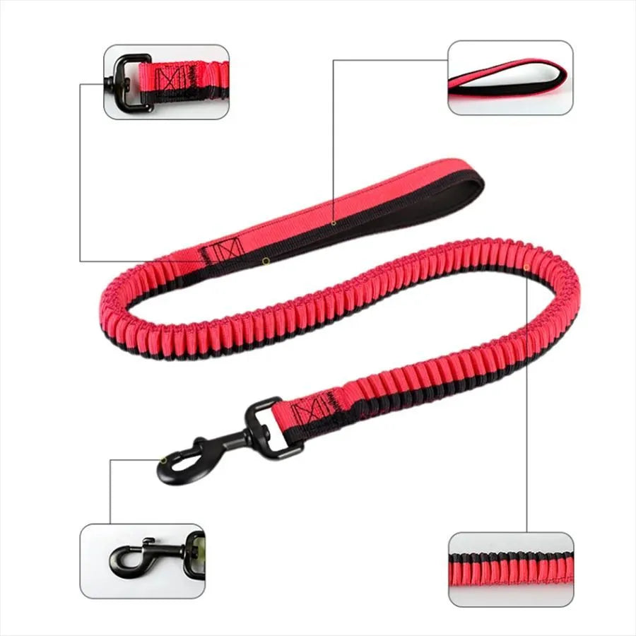 Heavy-duty green elastic dog leash with a metal clip for medium and large breed training.