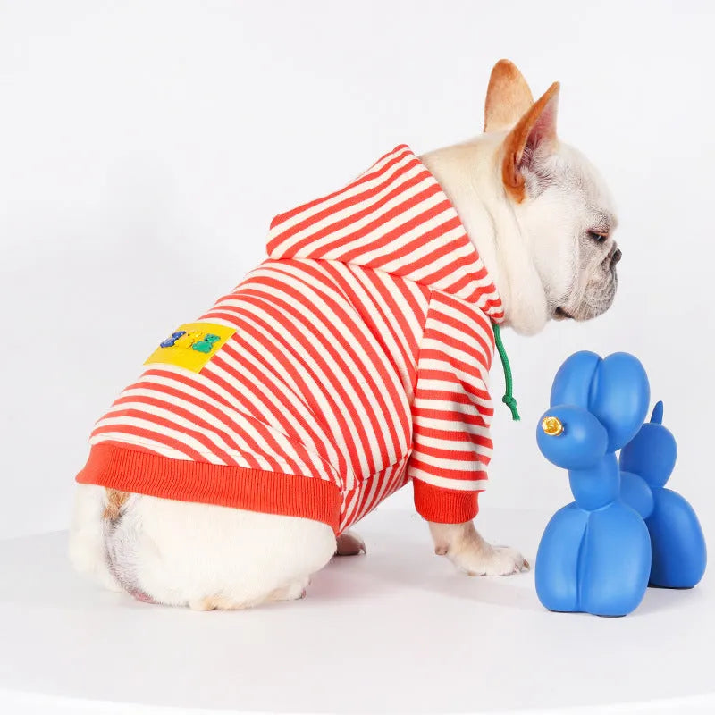 Orange cotton hooded sweater for a dog, showing Japanese Korean style on a mannequin.