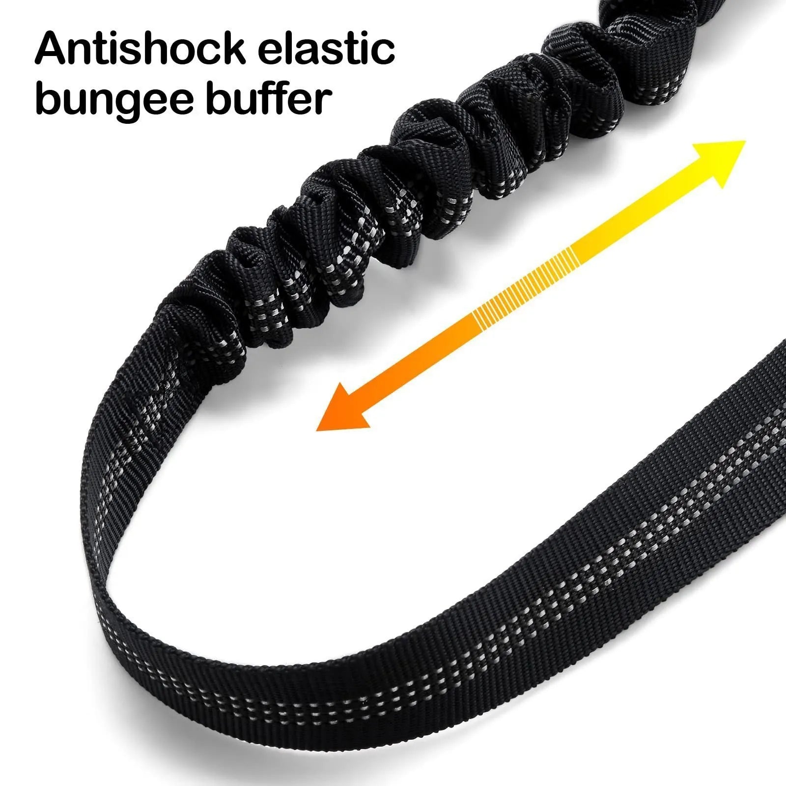 Nylon dog leash with metal buckle shown in multiple colour options.