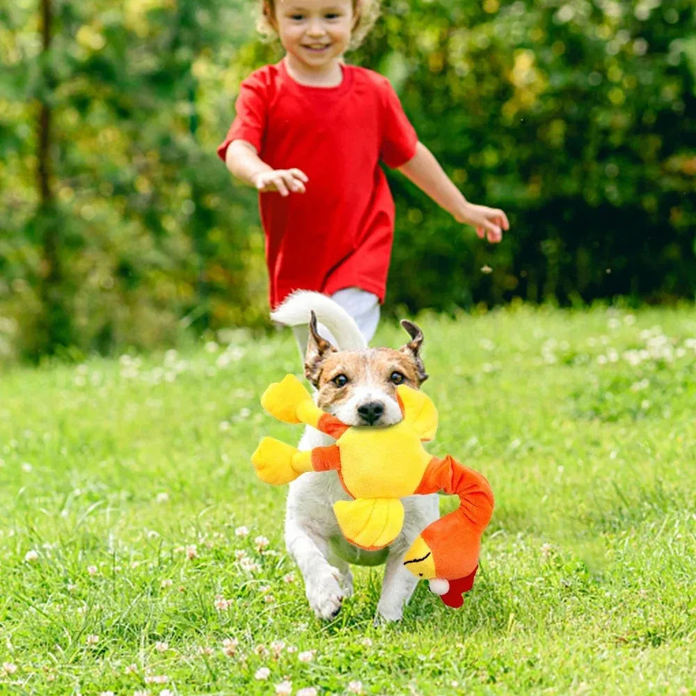 Squeaky chicken dog toy in black, green, or orange colours with bite-resistant latex construction
