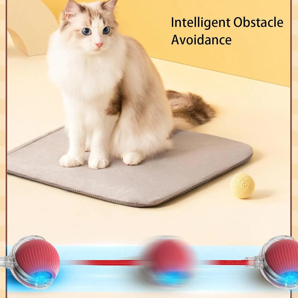 Grey automatic rolling ball toy for dogs and cats with attached rope, showing 6.5cm diameter