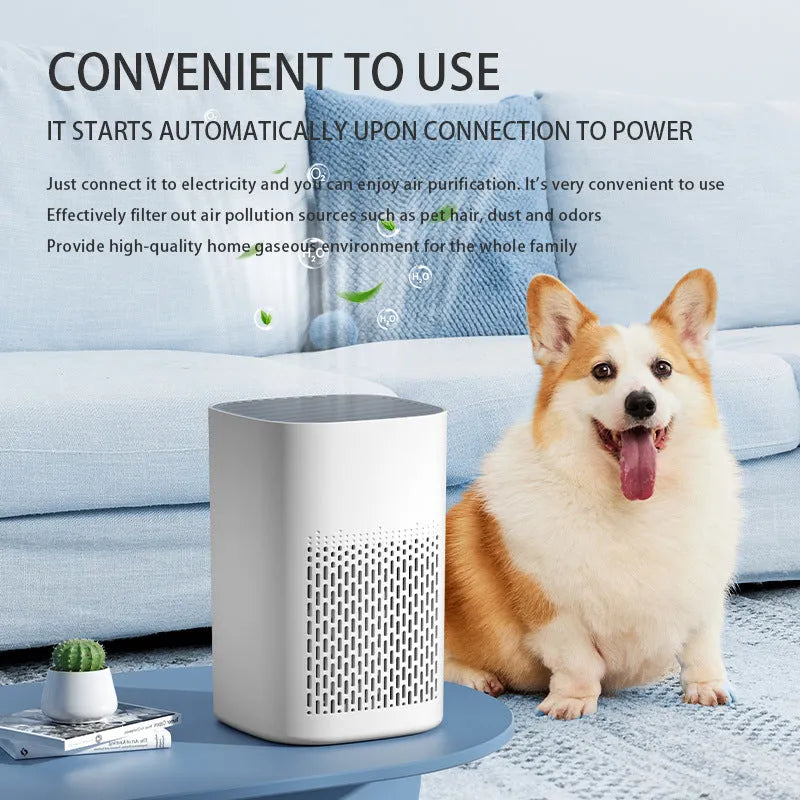 Simple style desktop air purifier with USB power cable for small room purification
