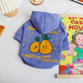 Blue and purple cotton pet hoodie with cartoon print design for winter wear