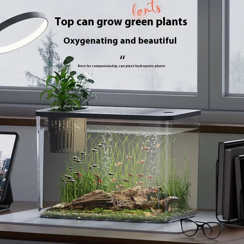 Plastic betta fish tank with cover measuring 32x18.5x23cm in black or white colour options