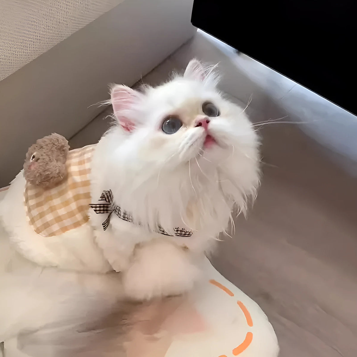 Cat wearing Blue Bear fleece clothing for autumn winter anti-shedding warm pet wear