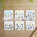Set of six square PVC bird pun coasters with different bird chart designs on a table