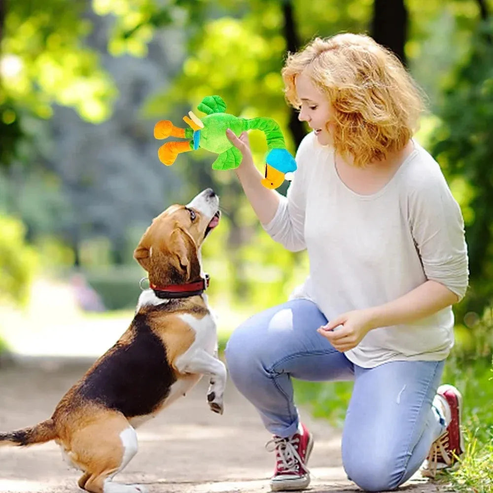 Squeaky chicken dog toy in black, green, or orange colours with bite-resistant latex construction