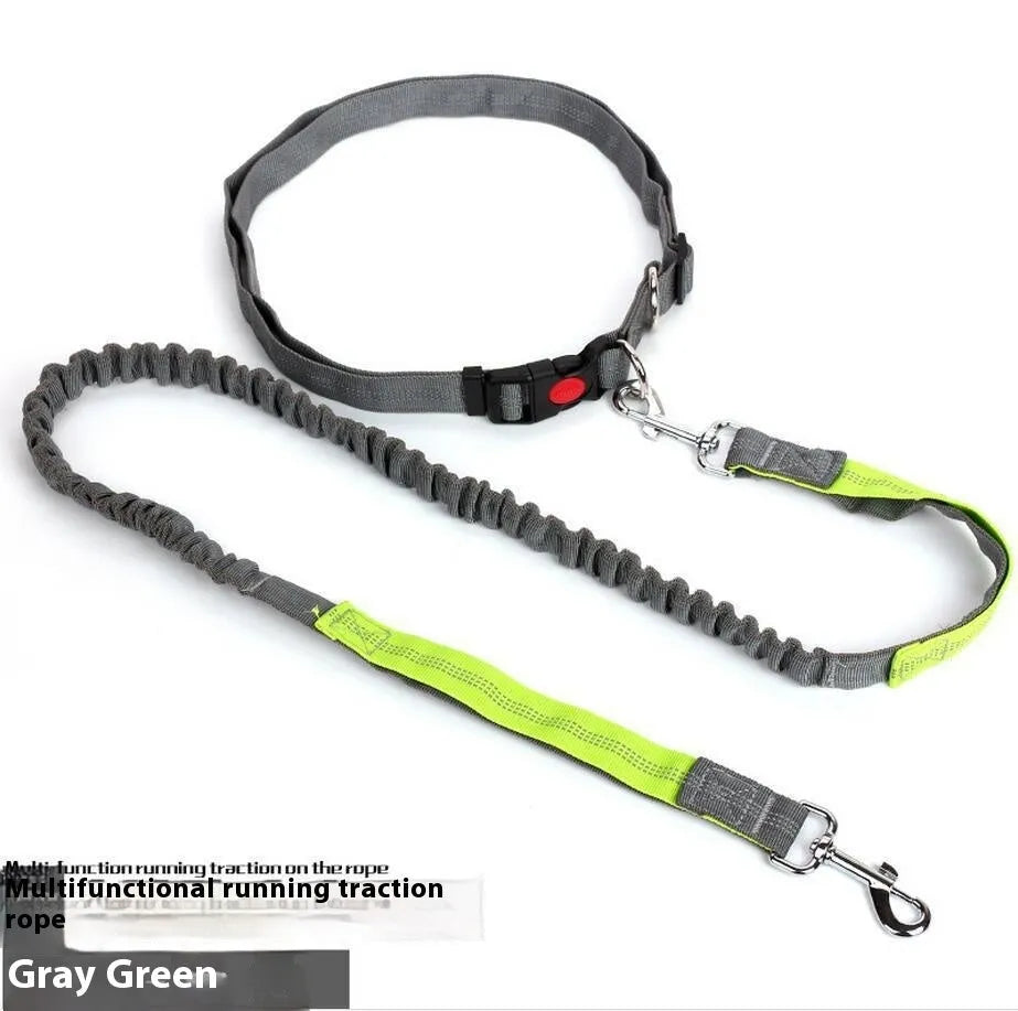Grey and green reflective nylon dog leash with 2.5cm width for outdoor running