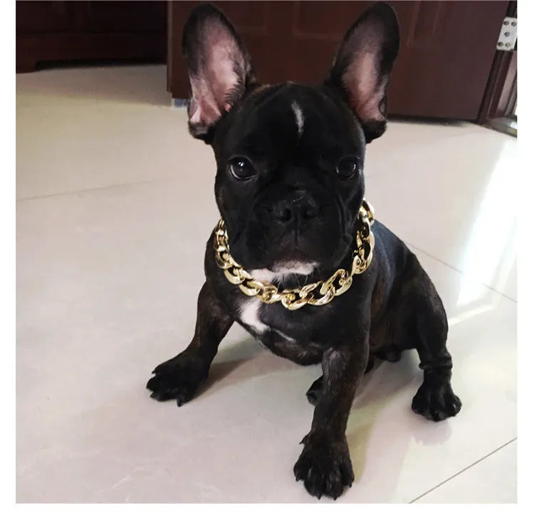 Gold colour dog chain collar with twisted piece design and buckle for small to medium dogs