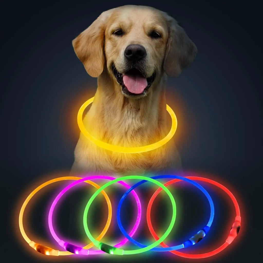 USB rechargeable LED dog collar showing blue glowing light on adjustable TPU collar