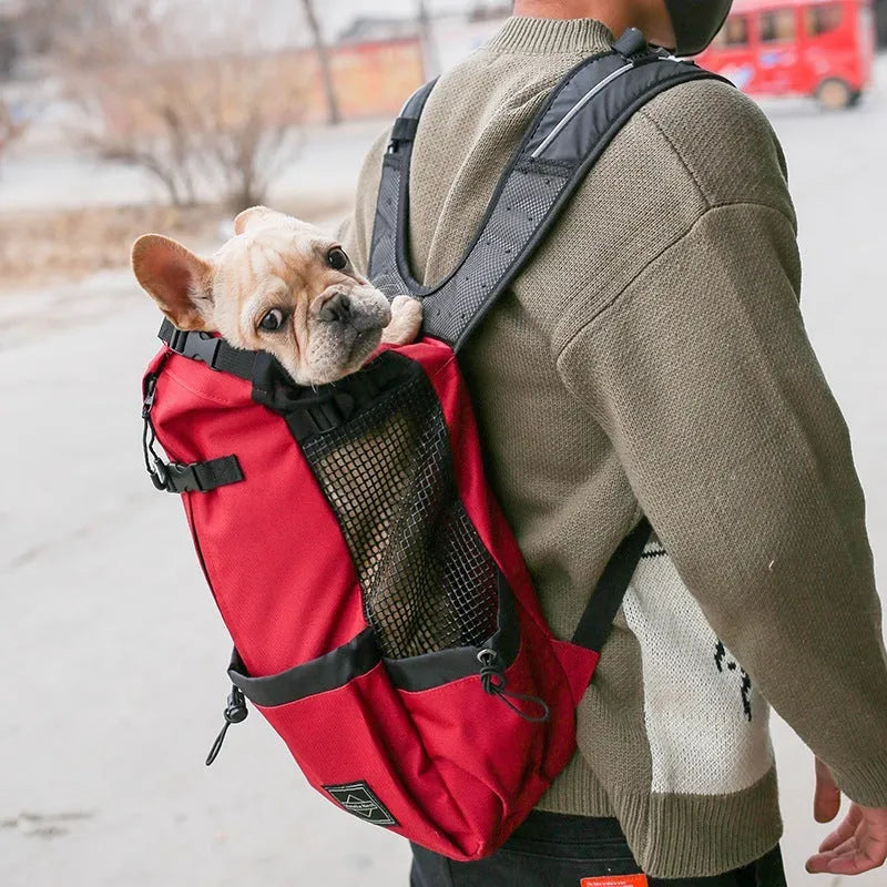 Pet dog carrier bag backpack in plain polyester with double shoulders, available in multiple colours and sizes S to XL