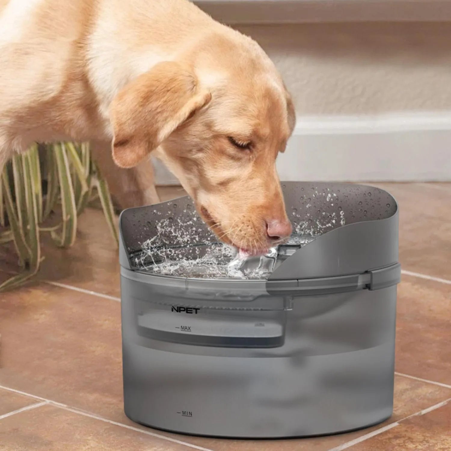 Automatic circulating water dispenser for cats and dogs with filter and pump on a kitchen floor.