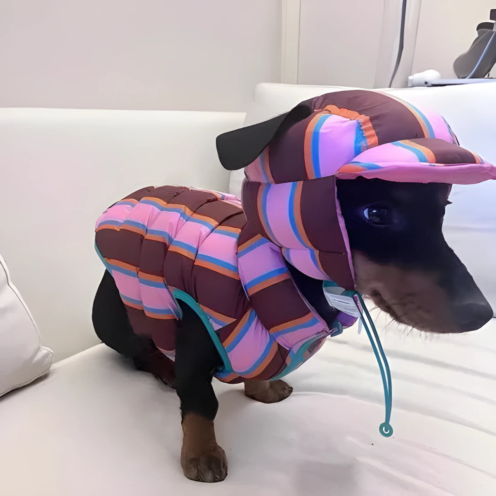 Dirty pink striped dog vest and matching hat set for autumn and winter wear