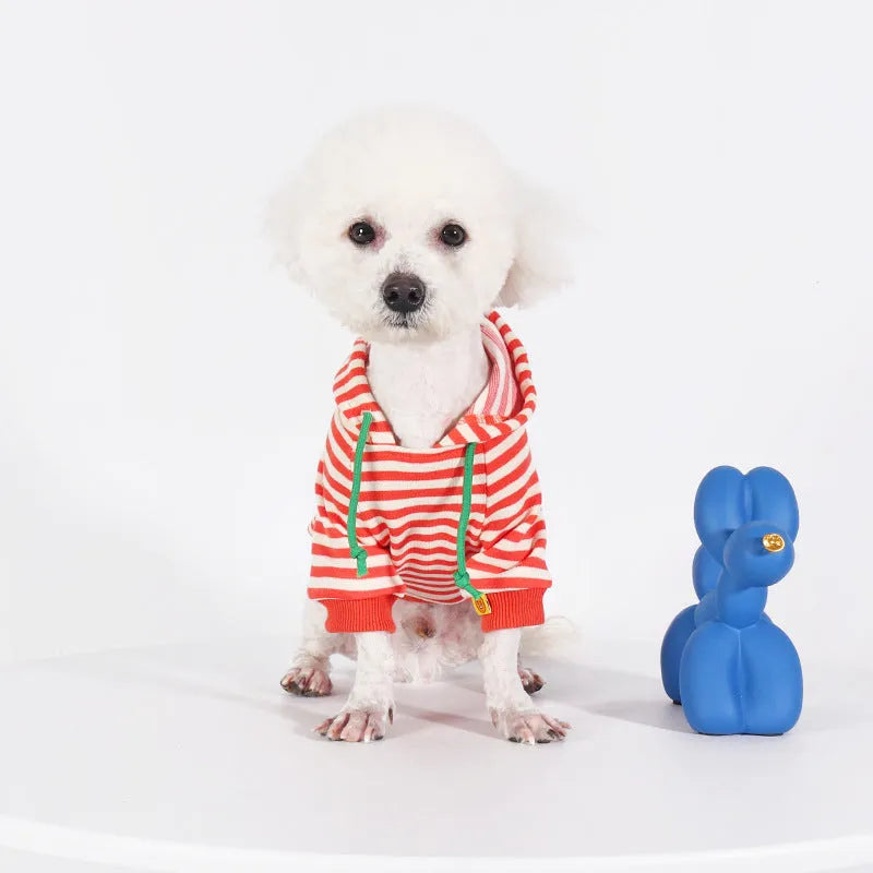 Orange cotton hooded sweater for a dog, showing Japanese Korean style on a mannequin.