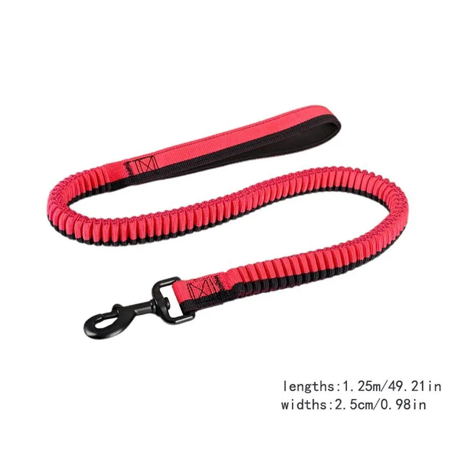 Heavy-duty green elastic dog leash with a metal clip for medium and large breed training.