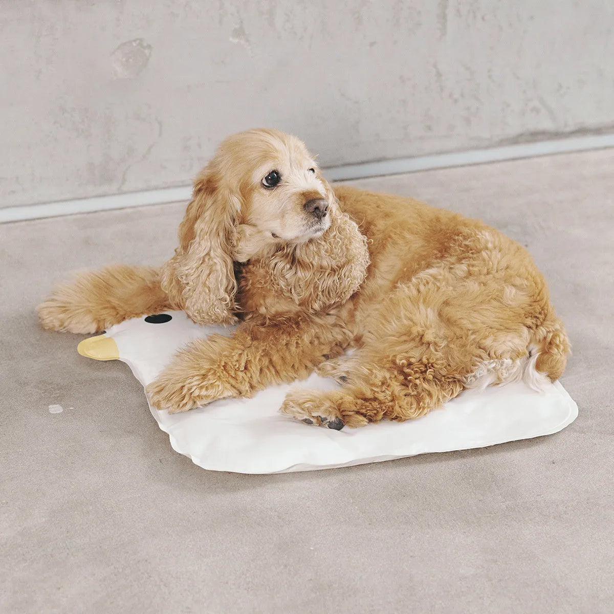 Washable chick-shaped pet cooling mat with non-stick surface next to an oval-shaped option.