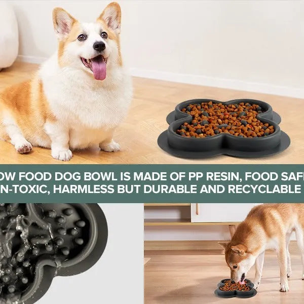 Silicone pet licking mat slow feeder in assorted colours on a floor