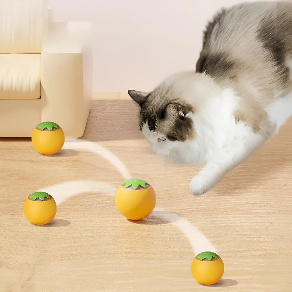 Small green automatic rolling ball pet toy for indoor dog and cat entertainment