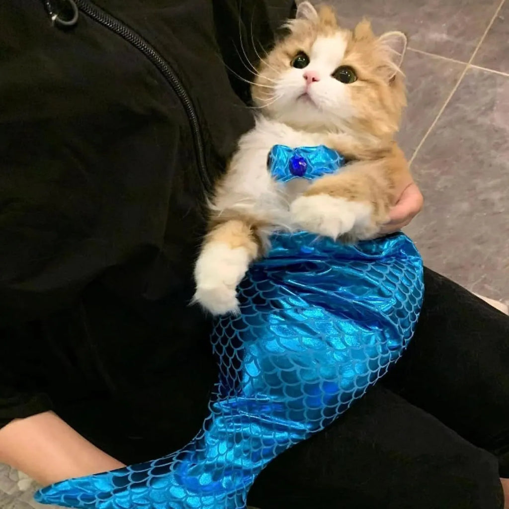Blue mermaid costume on a cat showing the long glittering fishtail and elastic chest strap.