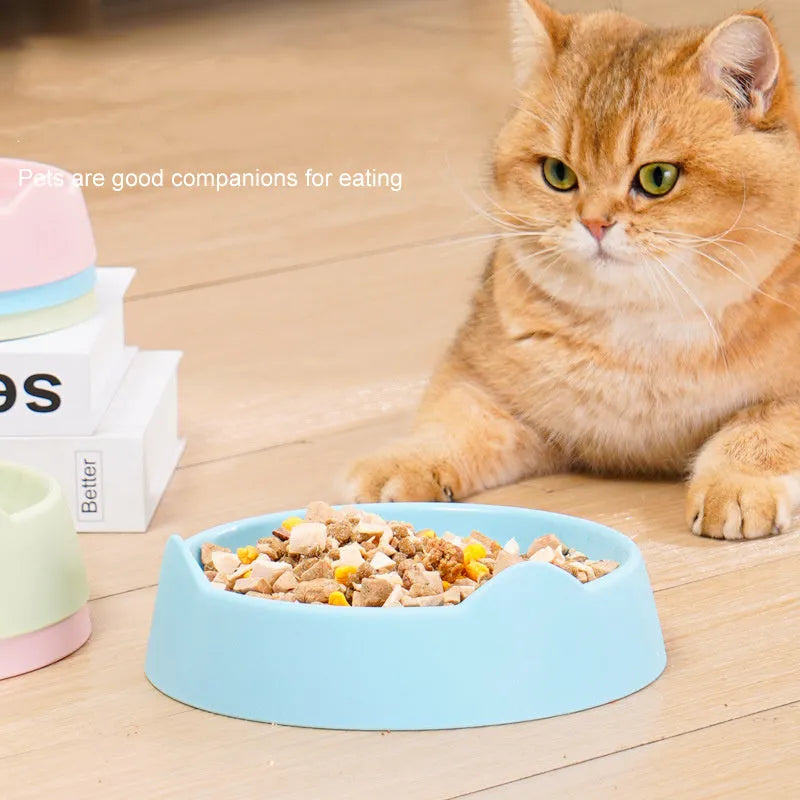 Ceramic dog slow feeder puzzle bowl in blue, green, or pink colours shown in two size options