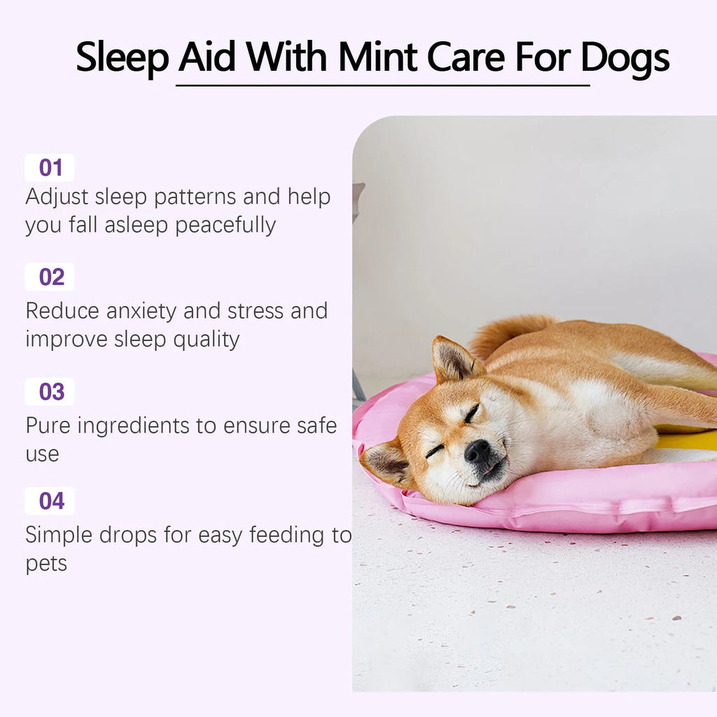 60ml dog sleep drops bottle with natural mint extract formula for canine rest support
