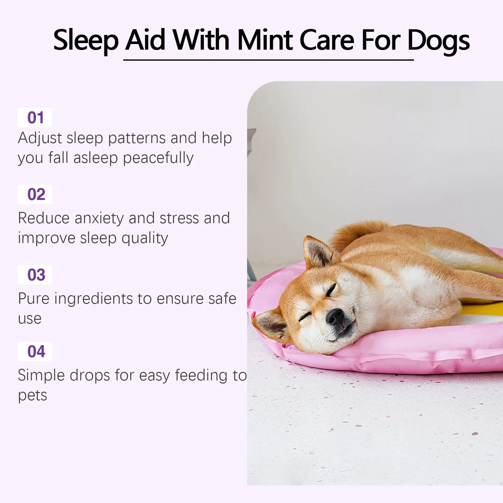 60ml dog sleep drops bottle with natural mint extract formula for canine rest support