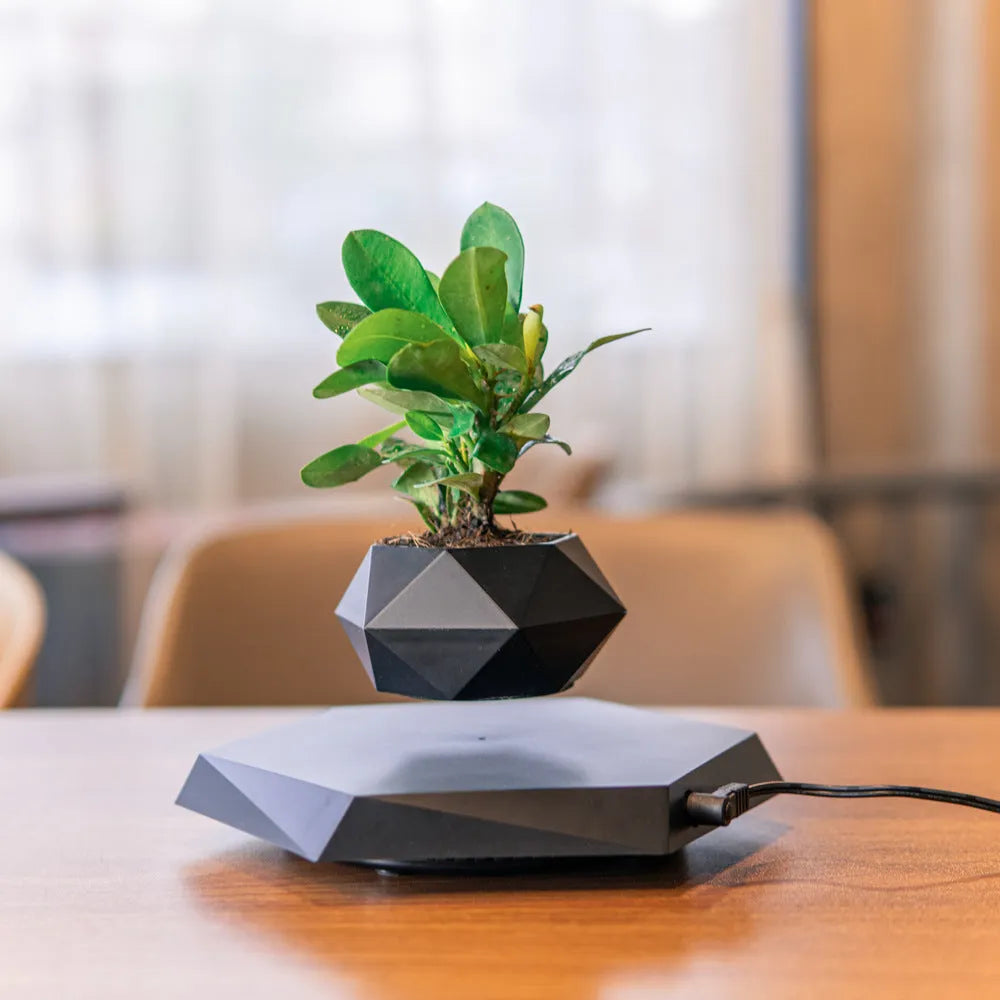 Hexagonal wood grain magnetic levitating flower pot floating above base