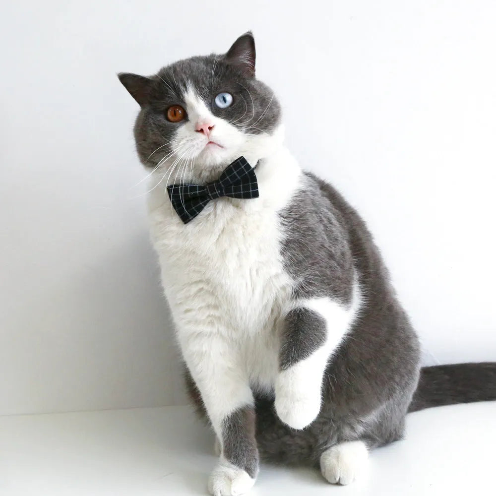 Yellow felt hair band and matching bow tie for a small dog on a white background.