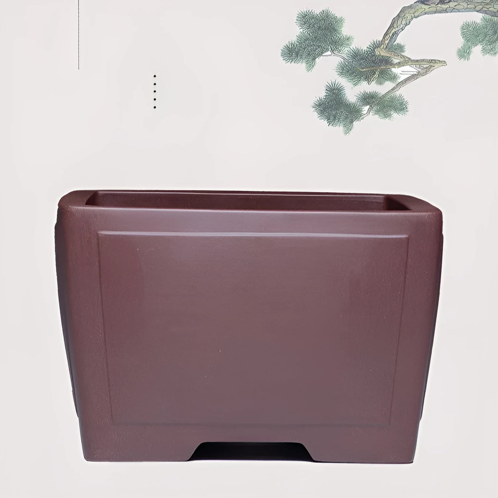 Square purple clay succulent bonsai pot in classical style on wooden surface
