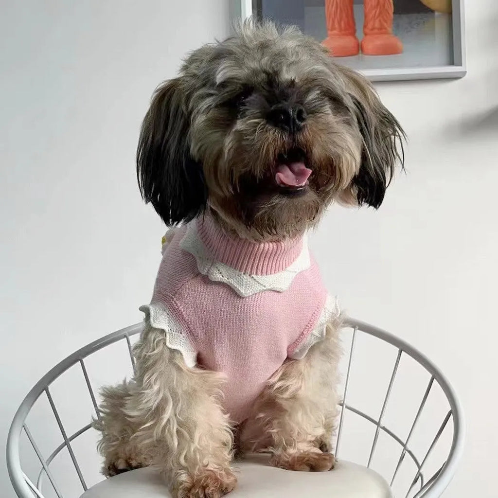 Green flower blossom knitted sweater for a small dog on a white background.